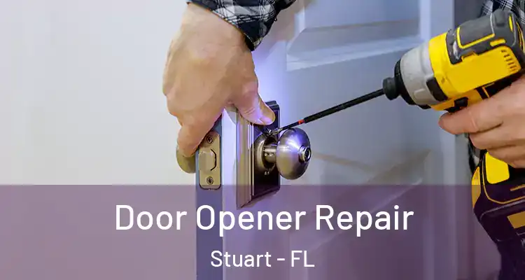  Door Opener Repair Stuart - FL