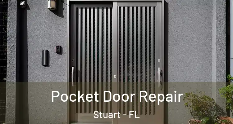  Pocket Door Repair Stuart - FL